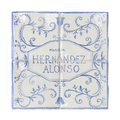 Azulejo Lupe - Apellido familiar